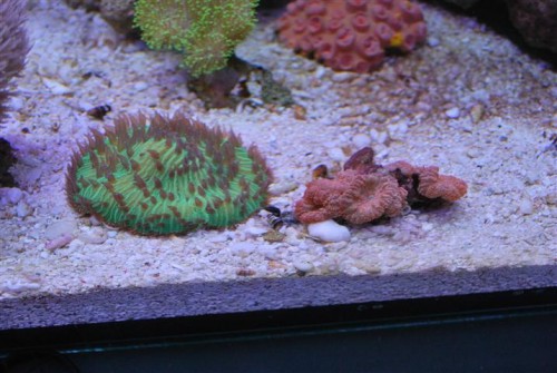 DSC_2094 (Small).JPG