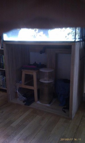 IMAG0747.jpg