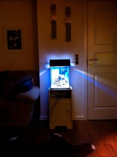 IMG_0220.jpeg