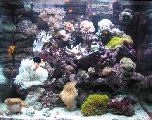 FTS-1024.jpg
