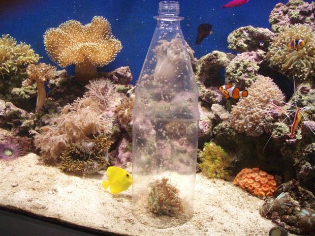 P5190481 (Small).JPG