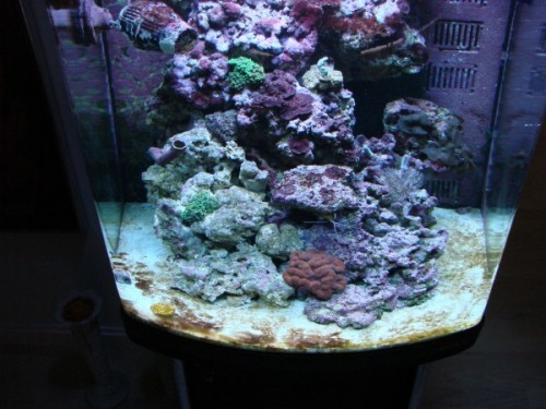 15 min. efter lyset tænder