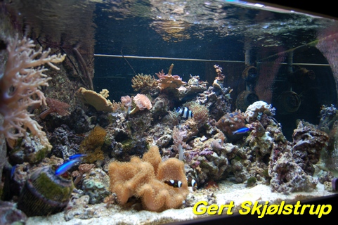 DSC_0011950.jpg