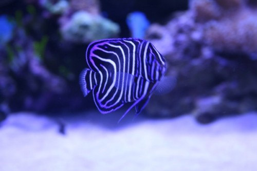 03-02-2011 012.JPG