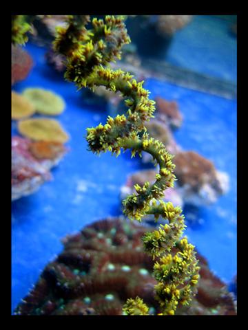 IMG_2956 (Small).jpg