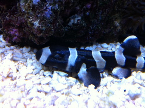 foto3.JPG