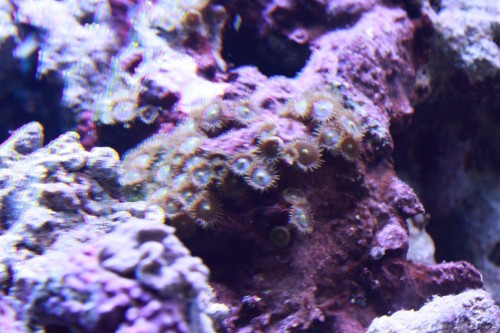 IMG_1647.JPG