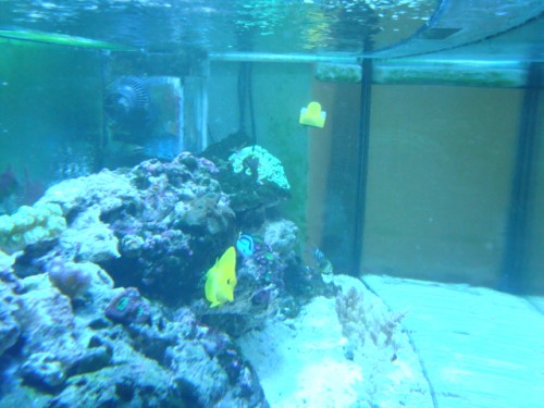 DSC04814.JPG