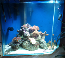 et billede af baljen