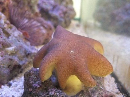 DSCF5772.jpg