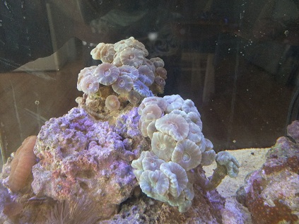DSCF5775.jpg