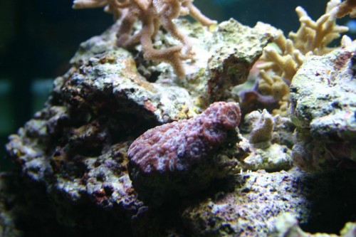 IMG_5090.JPG