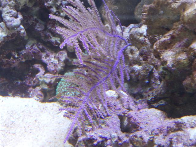 PB092618 (Small).JPG