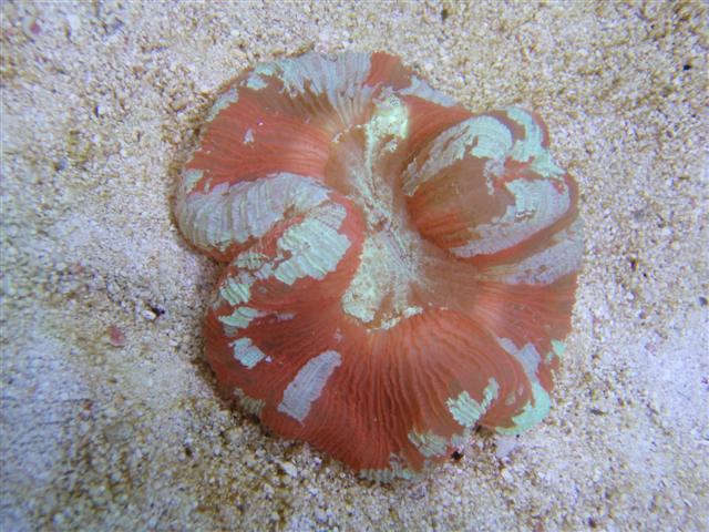 PB092664 (Small).JPG