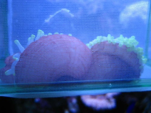 IMG_8469.jpg