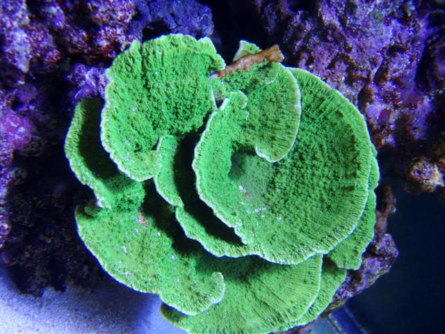PB092637 (Small).JPG