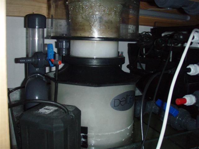 AP 702 (Small).JPG