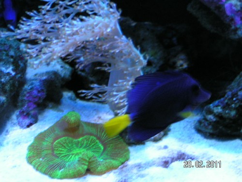 PICT3598.JPG