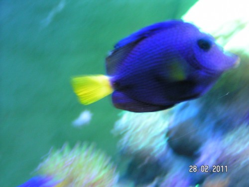 PICT3604.JPG