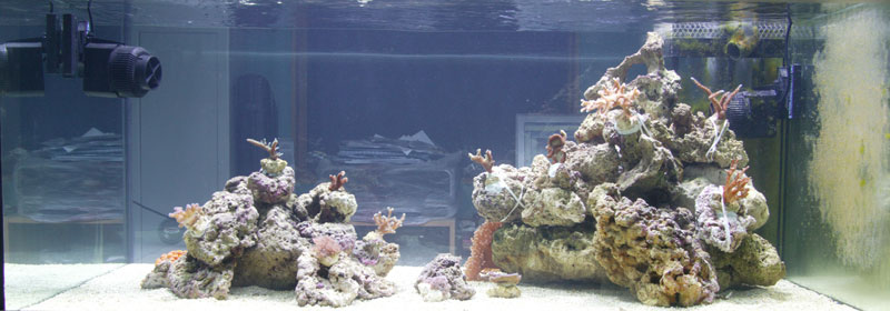 akvarium-med-koraller.jpg