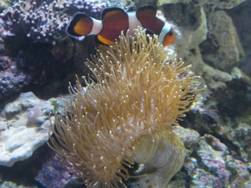 DSC01234 [640x480].JPG