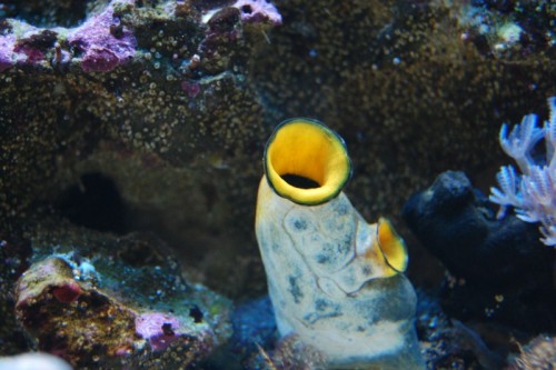 DSC_1012.jpg