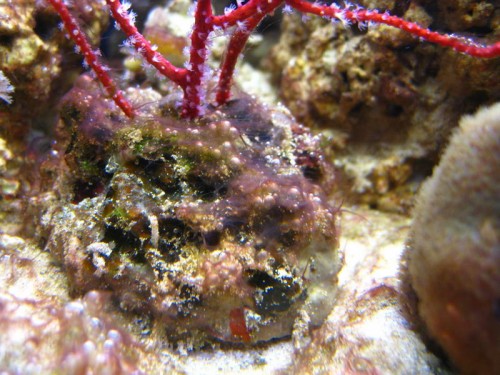 IMG_8576_resize.JPG