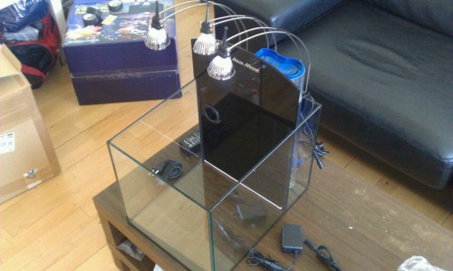 rps20110308_222457.jpg