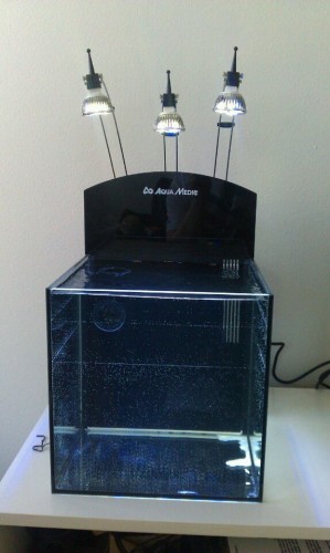 rps20110308_222815.jpg