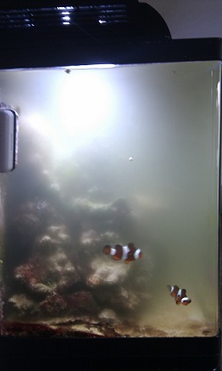IMAG0190.jpg