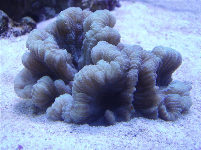 PB122723 (Small).JPG