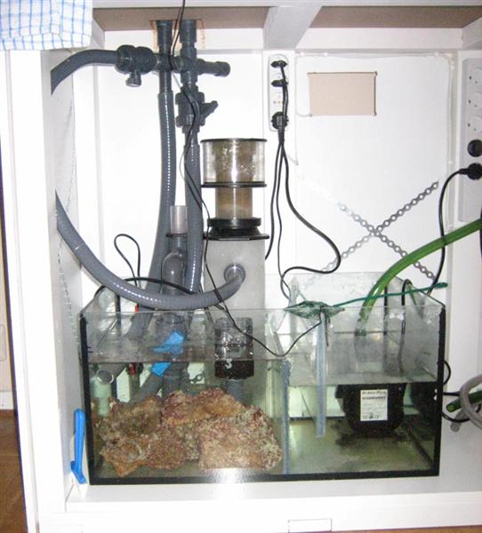 Min sump med bobblefælde, APF600 skummer og Oceanrunner 3500 retur pumpe.