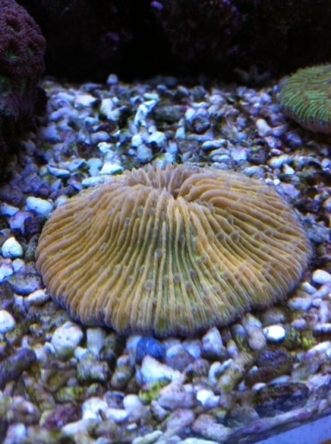 foto6.JPG