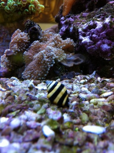 foto8.JPG