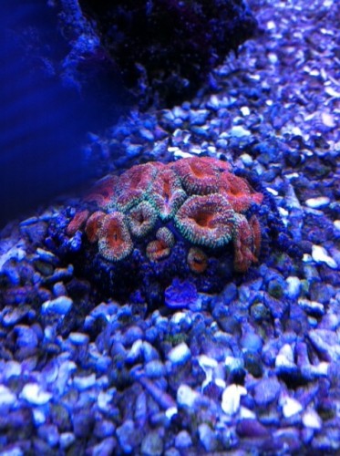 foto7.JPG