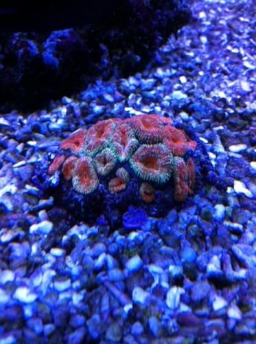foto8.JPG