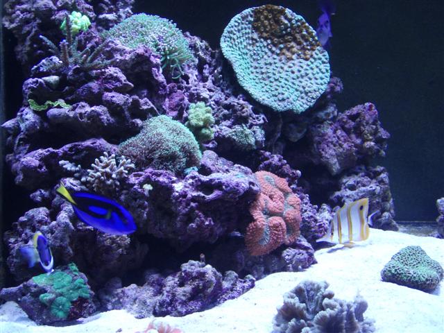 PB162801 (Small).JPG