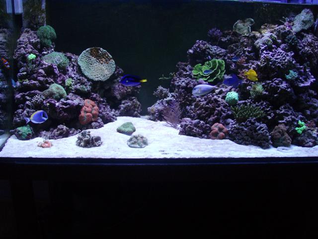 PB162785 (Small).JPG