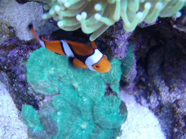PB122712 (Small).JPG
