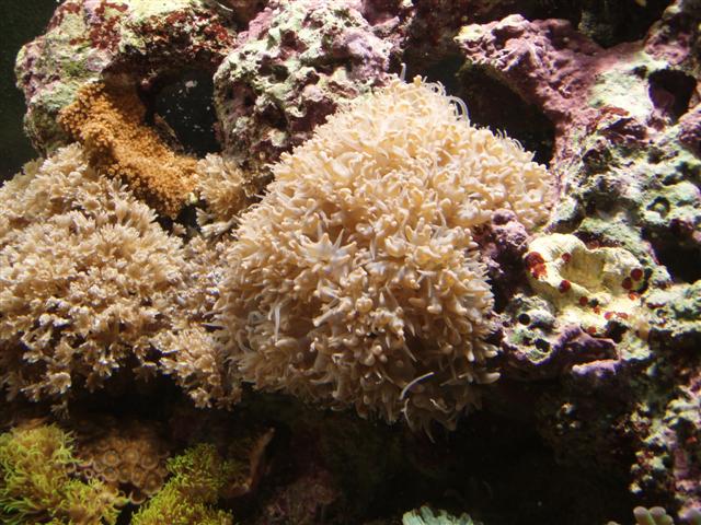 PB162861 (Small).JPG