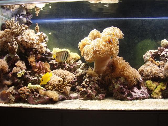 PB162849 (Small).JPG