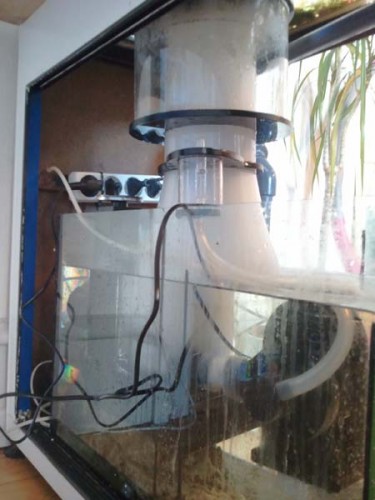 2011-04-04 13.24.46.jpg