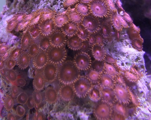 DSCF5841.JPG
