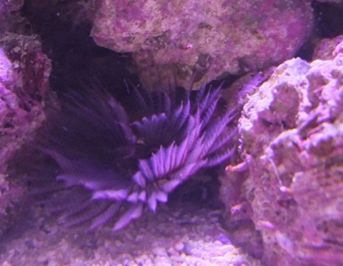 DSCF5844.JPG