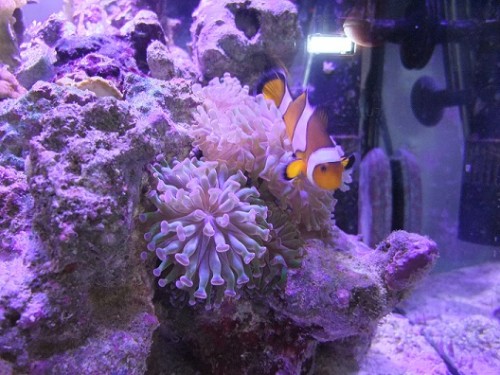 DSCF5853.JPG