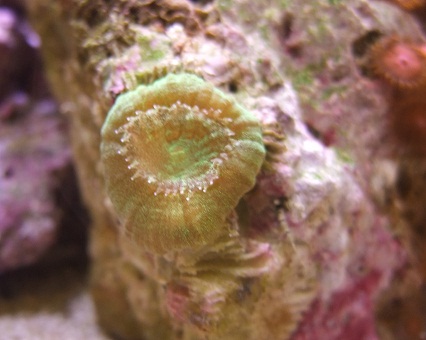 DSCF5862.JPG