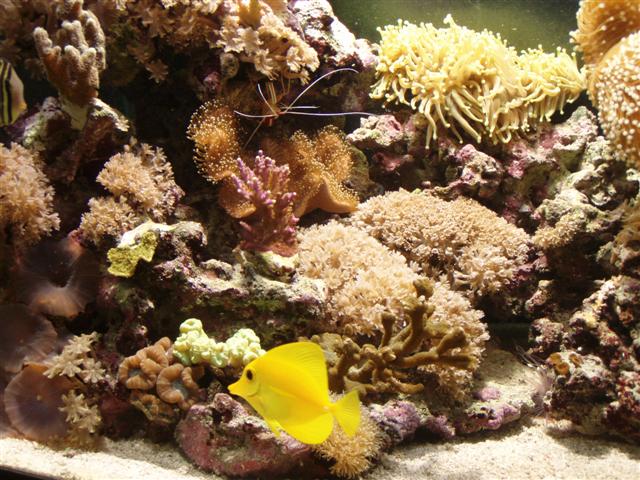 PB162830 (Small).JPG
