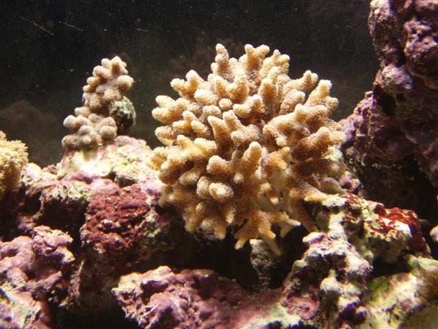 PB162828 (Small).JPG