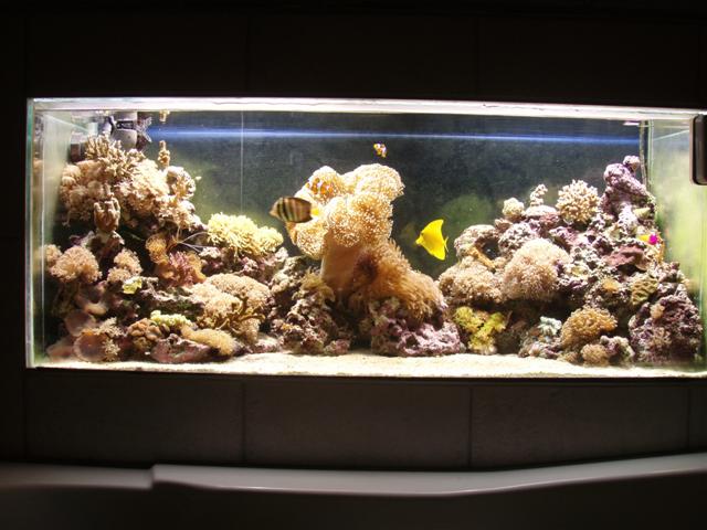 PB162823 (Small).JPG