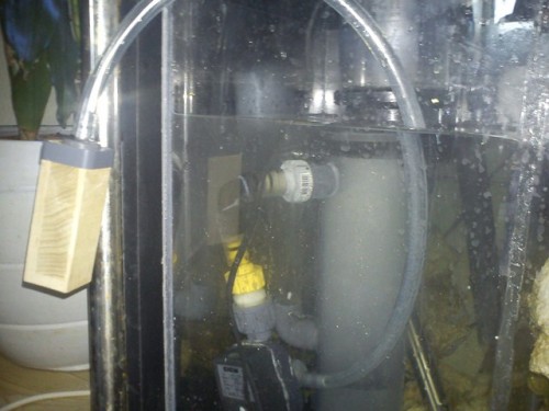 DSC00100 [640x480].jpg